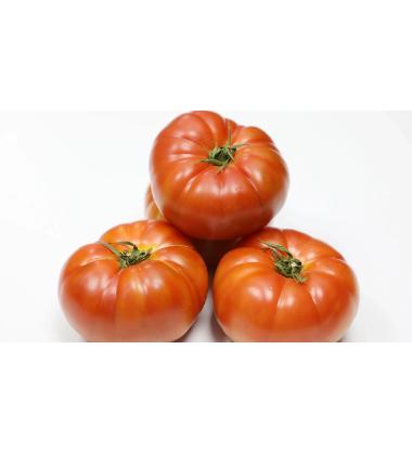 sof-domatesi